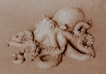 Chobotnice, keramika, 1974, 16 cm