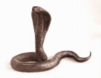 Kobra indická, cín, 1987, 10 cm