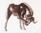 Pakůň běloocasý, keramika, 1974, 23 cm