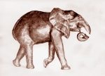 Africký slon , keramika, 1974, 27 cm