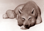 Sleeping wolf, artificial stone, 57 cm, 1975