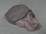 Galapagos tortoise, resin stone, 42 cm, 2020