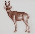 Hartbeest antelope, ceramic, 22 cm, 1974
