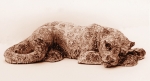 Snow leopard, glazed terra-cotta, 23 cm, 1974