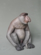 Proboscis monkey, resin stone, 25 cm, 2020