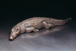 Black caiman, pewter, 42 cm, 1985