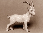Alpin ibex, glazed ceramic, 22 cm, 1974