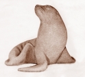 Sea lion, artificial stone, 30 cm, 1985