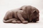 Lion drinking, artificial stone, 32 cm, 1975