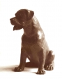 Rottweiler sitting, terra-cotta, 14 cm, 1973