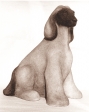 Sitting Afghan hound, artificial stone, 35 cm, 1976