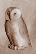 Owl, artificial stone, 28 cm, 1974
